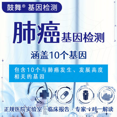 خرید NGS 10 آزمایش ژن 10 آزمایش ژنتیکی هدفمند برای خطر سرطان ریه online manufacture