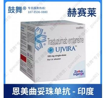 HER2 100mg Ado Trastuzumab Emtansine India قرص سرطان پستان